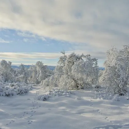 Semesterbostad Holiday Al 44